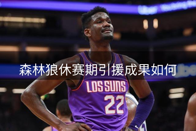 森林狼休赛期引援成果如何